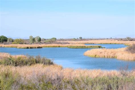 Cibola National Wildlife Refuge in Cibola, AZ - The Adventures of Trail & Hitch