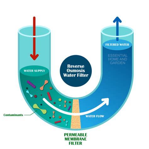 The 10 Best Reverse Osmosis Filter Systems - Essential Home and Garden