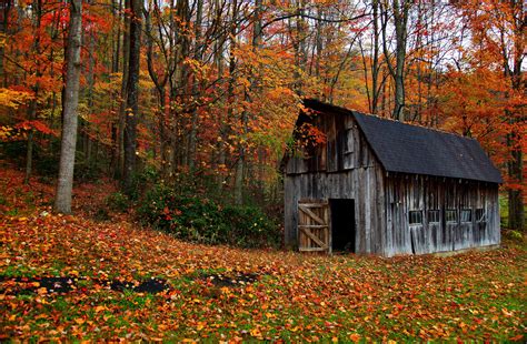 Autumn Country Barn | Structures| Free Nature Pictures by ForestWander Nature Photography