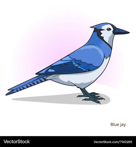 Blue jay bird educational game Royalty Free Vector Image