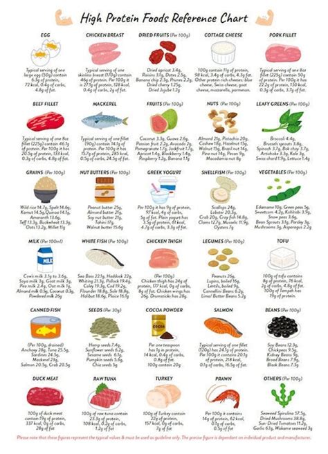 High Protein Foods Reference Chart PRINTABLE INSTANT Canada | ubicaciondepersonas.cdmx.gob.mx