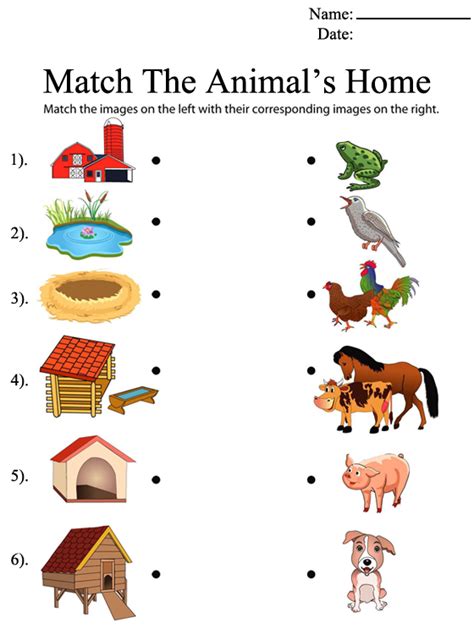 Homes Of Animals Worksheet