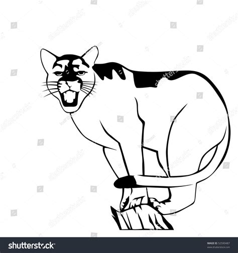 Black And White Puma Vector Illustration - 52590487 : Shutterstock