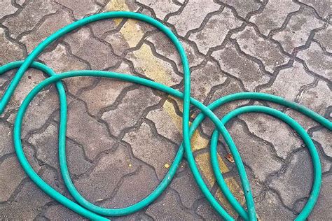 Garden Hoses: What To Know Before You Buy | The Family Handyman