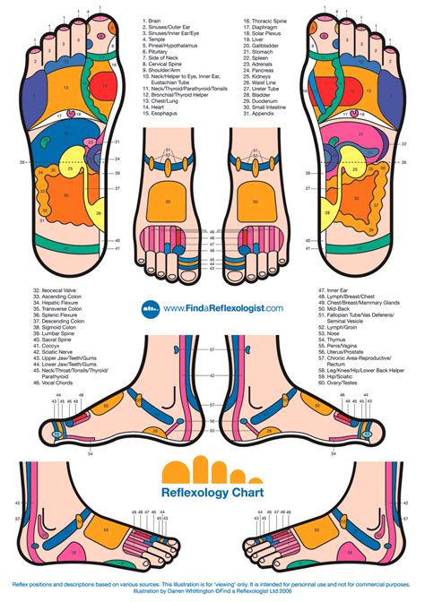 titik refleksologi kaki | Kesehatan pria, Refleksiologi, Kesehatan alternatif