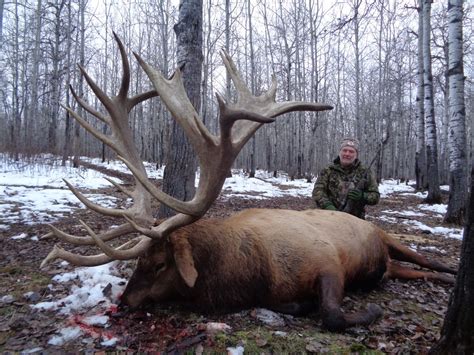 3 Days / 4 Nights Trophy Elk Hunt for 2 Hunters in Saskatchewan, Canada