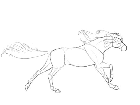 Pin by Lexie Says on Lochlan | Horse drawings, Horse animation, Running drawing