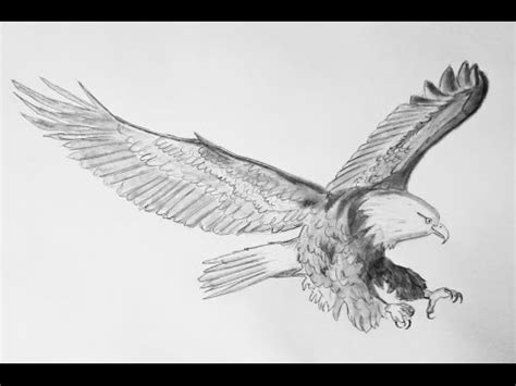 Como dibujar un aguila - How to draw an eagle - YouTube