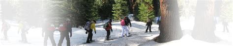 Montecito Sequoia Lodge - Naturalists at Large - Kings Canyon National Park, Environmental ...