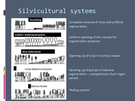 Silvicultural systems