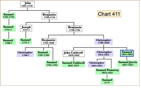 Gallery For > Samuel Adams Family Tree