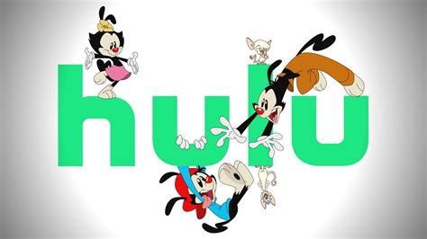 The Animaniacs & Pinky and the Brain reboot coming to Hulu in 2020 ...