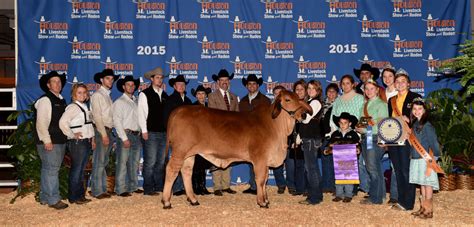 Red and Gray Brahman Cattle Champions Announced by Moreno Ranches at International Brahman Show ...