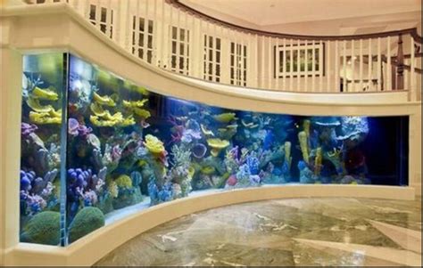 Pin by Tori Bartholomew on residential design. | Amazing aquariums ...