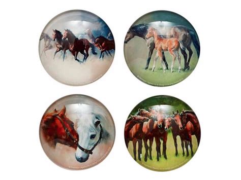 Horse Magnet Set of 4 Glass Designs - Gallop-n-Gifts