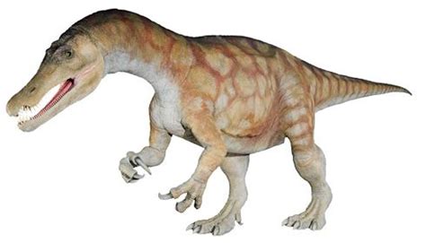 Erstes Spinosauridae-Fossil in Australien identifiziert | astropage.eu