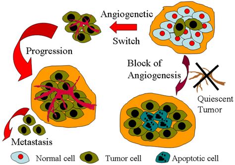 Current Strategies for Cancer Gene Therapy | IntechOpen