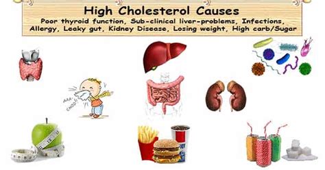 High Cholesterol Causes: 8 Unexpected Causes of High Cholesterol