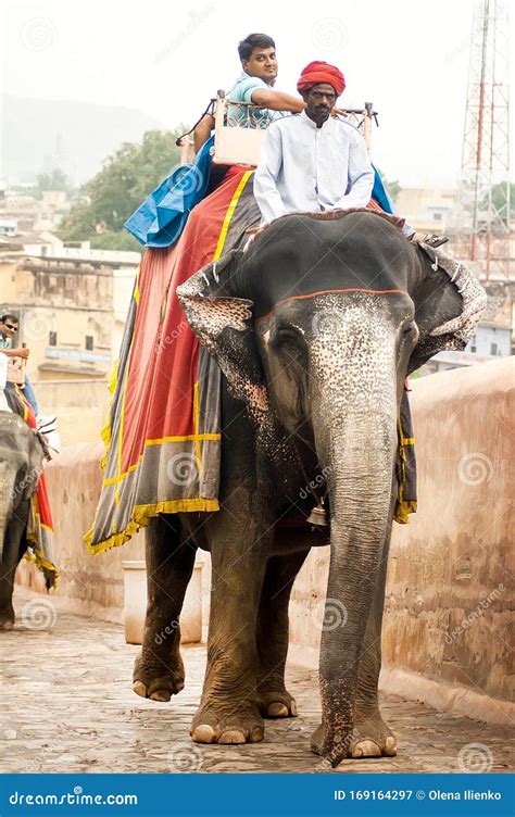 Tourists on an Elephant Ride Editorial Photography - Image of ancient, large: 169164297