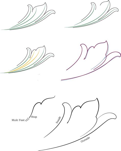 Drawing the Basic Acanthus Leaf | Ornament drawing, Acanthus, Leaf drawing