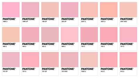 Картинки по запросу millennial pink | Pantone pink, Pink palette, Pink ...