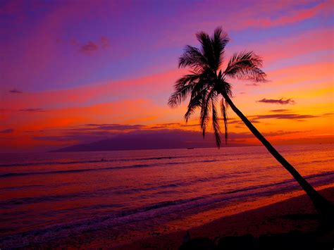 Hawaii Sunset Wallpaper ·① WallpaperTag