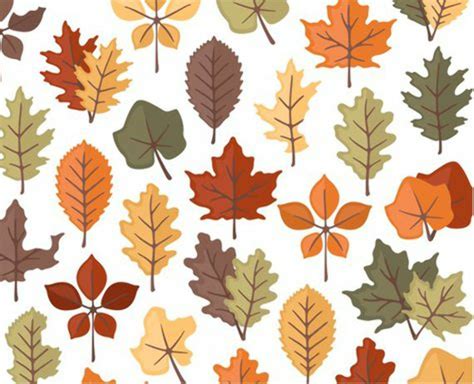 Download High Quality thanksgiving clipart leaves Transparent PNG ...