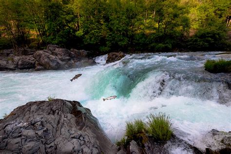 North Umpqua River - Western Rivers Conservancy