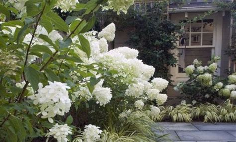 White Flower Garden Design Ideas — Freshouz Home & Architecture Decor ...