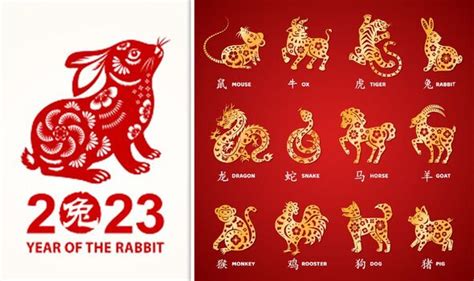 Chinese horoscope 2023: What the Year of the Rabbit has in store for all 12 animal signs ...