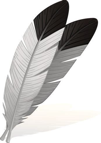 Eagle Feather Clip Art, Vector Images & Illustrations - iStock ...