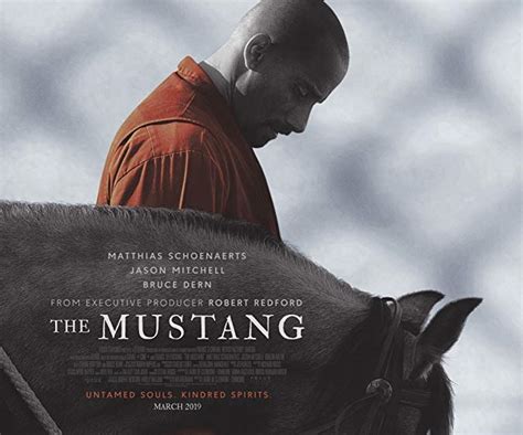 Who Tames Who in "The Mustang"? - Coronado Times