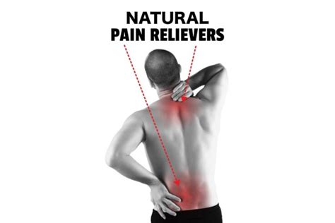 Exploring The Best Available Natural Pain Relievers - Fitneass