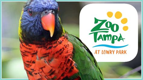 Let's Explore Zoo Tampa! | Zoo Tour - YouTube