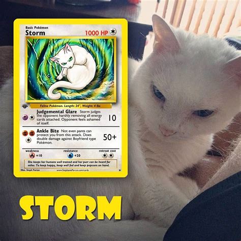 Artist Transforms Pets Into Pokémon Cards (30 Pics) | Pokemon cards, Pokemon, Pokémon species