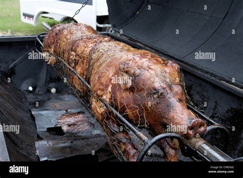 A whole pig roasting in a home made barbecue Stock Photo - Alamy