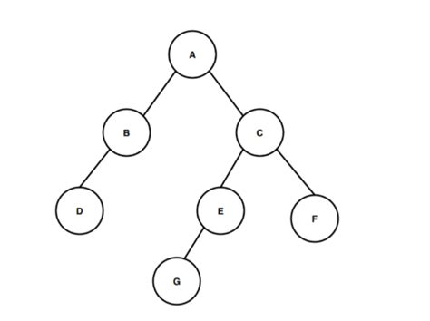 Height of Binary Tree (Data Structures) - javatpoint