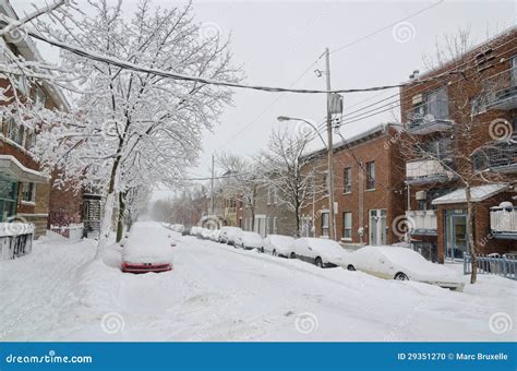 Snow storm in Montreal stock photo. Image of frozen, flakes - 29351270