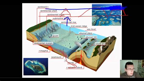 Ocean Basins (Part 2): Features of the Ocean Floor (Deep Ocean Basins ...