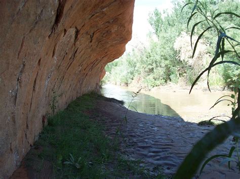 The Escalante River Blog: River Swimming - An Introduction