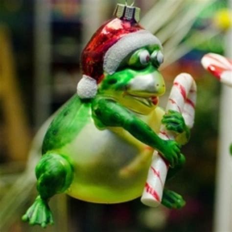 Frogs in the Christmas Tree! | HubPages