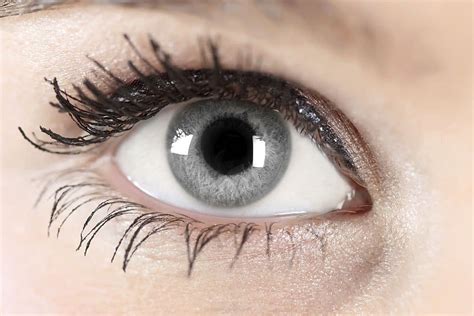 Facts about gray eyes - Colorblindnesstest.org