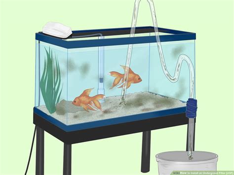 How To Install Filter In Aquarium - Aquarium Views