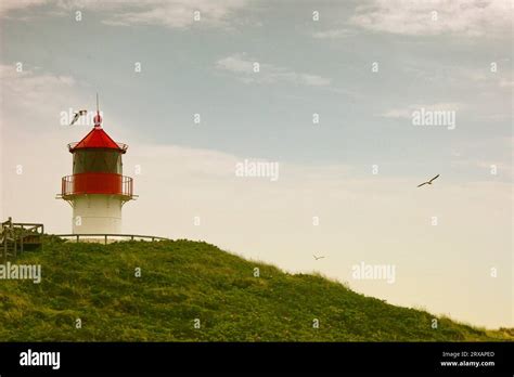 Lighthouse on Amrum Stock Photo - Alamy