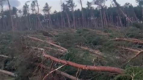 Storm Arwen: Trees brought down by strong winds in Scotland - video | UK News | Sky News