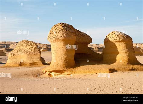 Desert landforms formed by wind erosion at Wadi al-Hitan, Valley of the ...