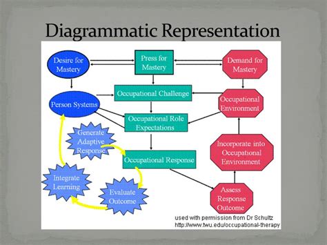 PPT - Theory of Occupational Adaptation Schultz, 2009 Schkade & Schultz ...