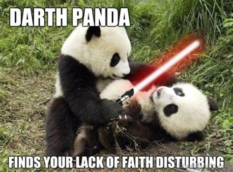 80 Cute Panda Memes