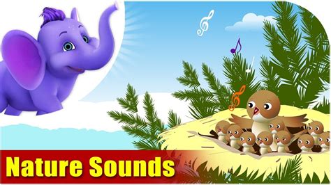 Nature Sounds | Nature song for Kids | 4K | Appu Series - YouTube