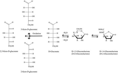 Frontiers Production Of Gluconic Acid And Its Derivatives, 58% OFF